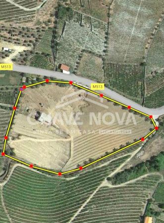 Moradia T3 inserida em Quinta com Vinha em Tabuaço, Viseu 