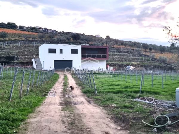 Moradia T3 inserida em Quinta com Vinha em Tabuaço, Viseu 