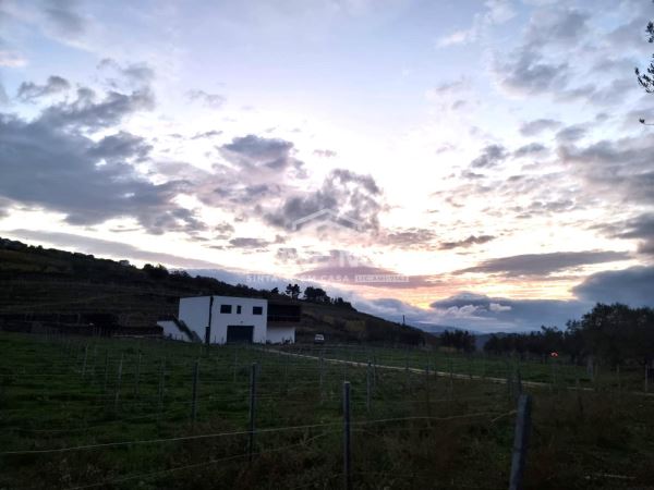 Moradia T3 inserida em Quinta com Vinha em Tabuaço, Viseu 