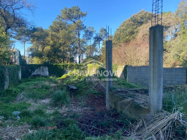 Casa em Ruínas com projeto aprovado para construção. 