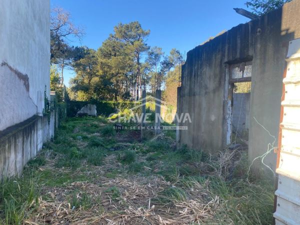 Casa em Ruínas com projeto aprovado para construção. 