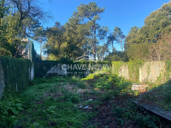 Casa em Ruínas com projeto aprovado para construção. 