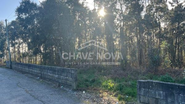 Terreno Urbano com 1.490m² para construção em Argoncilhe