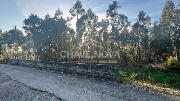 Terreno Urbano com 1.490m² para construção em Argoncilhe