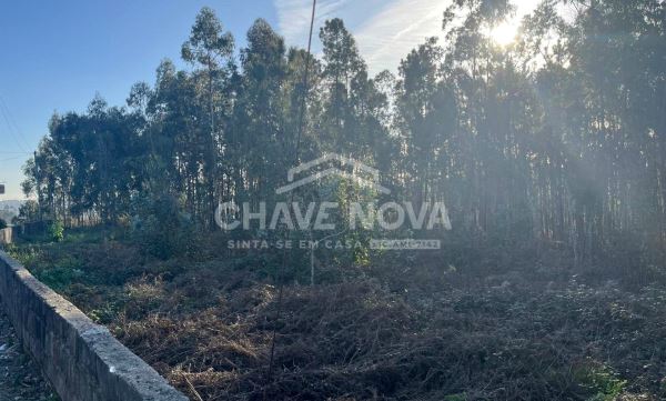 Terreno Urbano com 1.490m² para construção em Argoncilhe