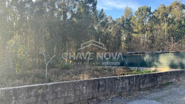 Terreno Urbano com 1.490m² para construção em Argoncilhe