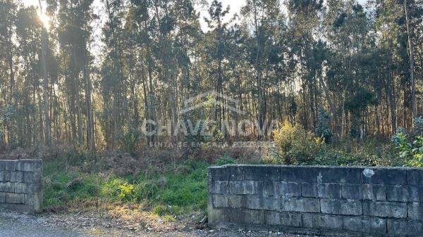 Terreno Urbano com 1.490m² para construção em Argoncilhe
