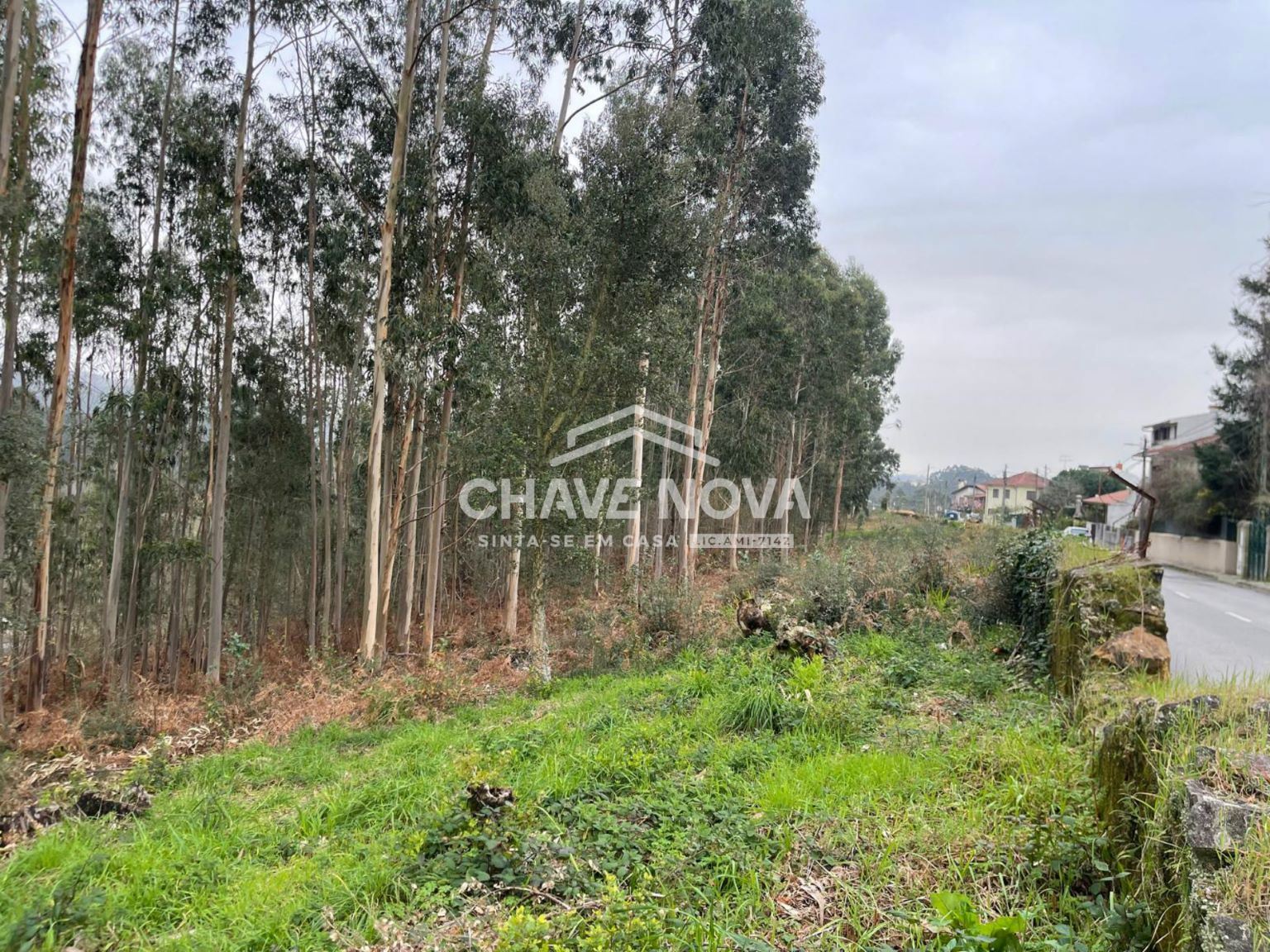 Terreno Urbanizável em Nogueira do Cravo