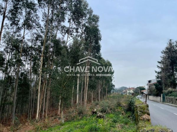 Terreno Urbanizável em Nogueira do Cravo