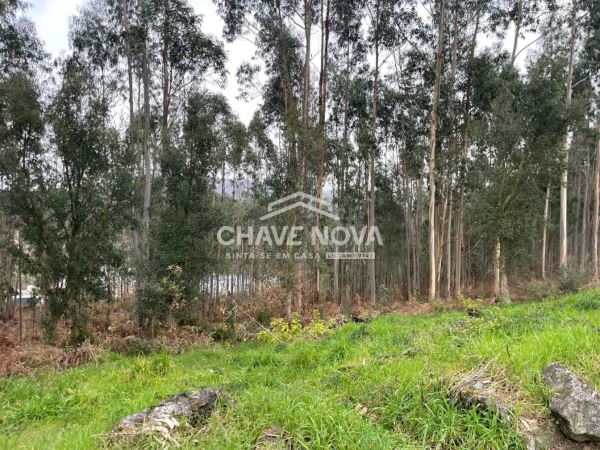 Terreno Urbanizável em Nogueira do Cravo