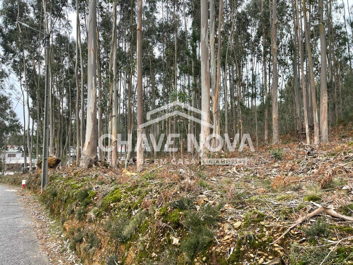 Terreno Urbanizável em Nogueira do Cravo