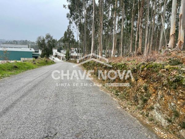 Terreno Urbanizável em Nogueira do Cravo