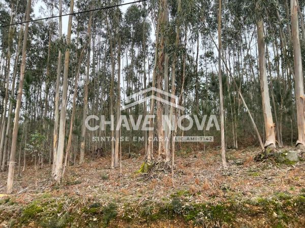 Terreno Urbanizável em Nogueira do Cravo