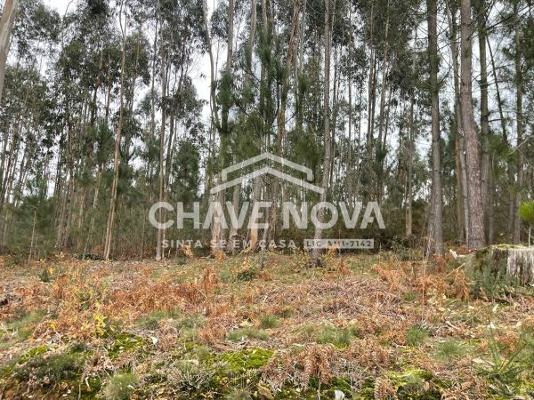 Terreno Urbanizável em Nogueira do Cravo