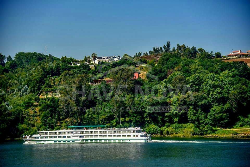 Terreno para Venda em Oliveira do Douro Foto 7