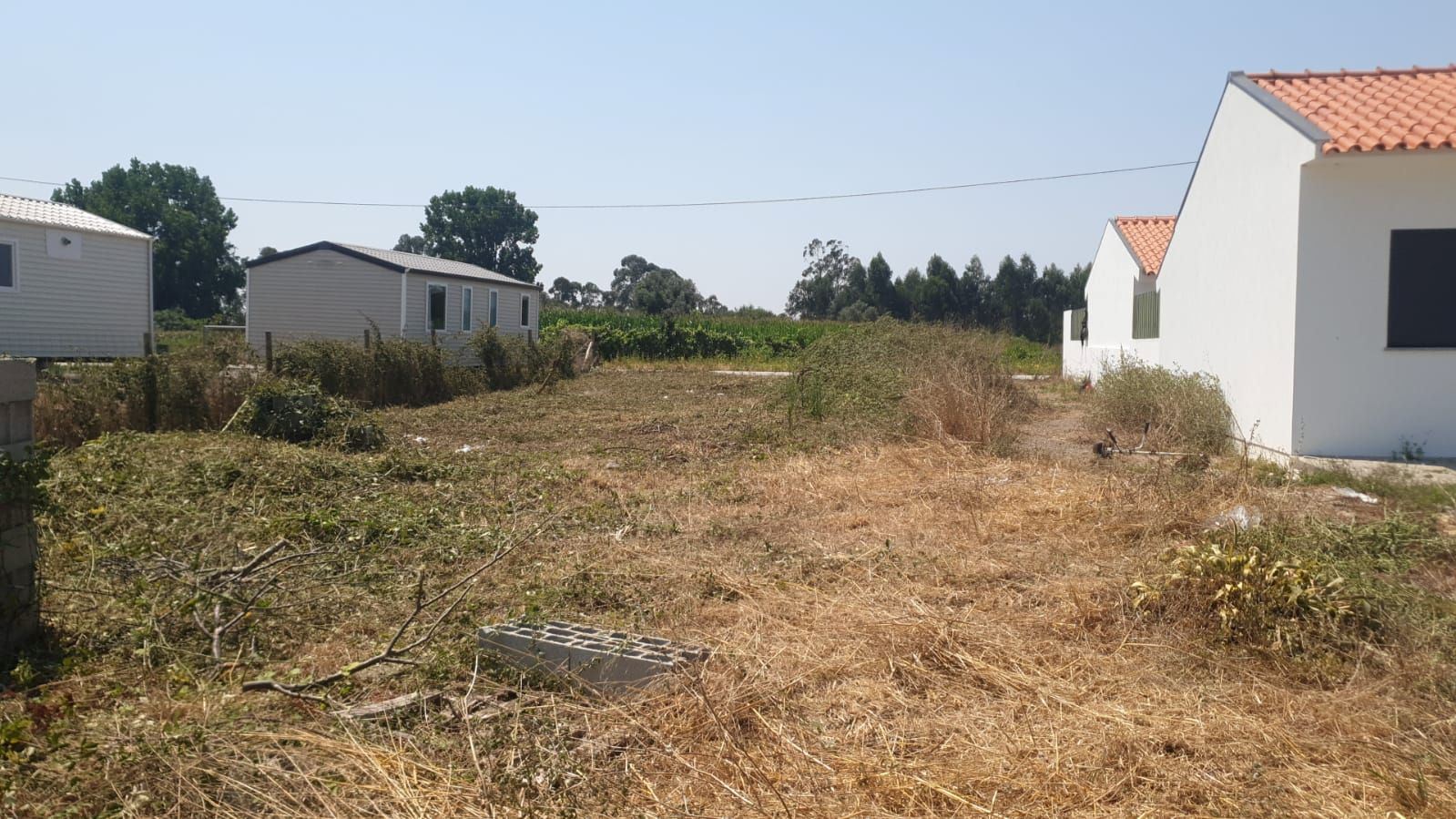 Terreno Agricola ou Rústico para Venda em Requeixo, Nossa Senhora de Fátima e Nariz