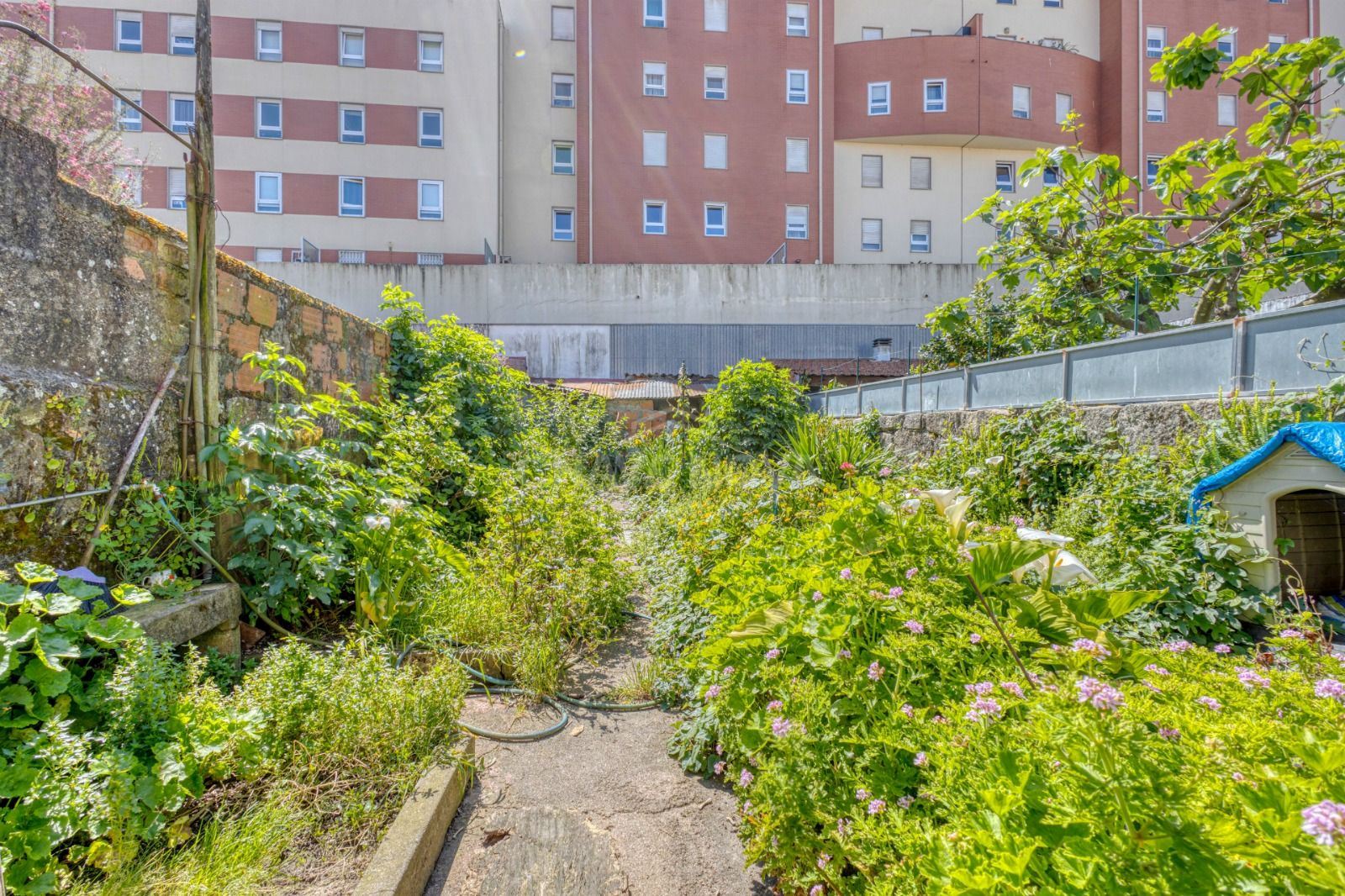 Moradia T6 para Venda em Paranhos