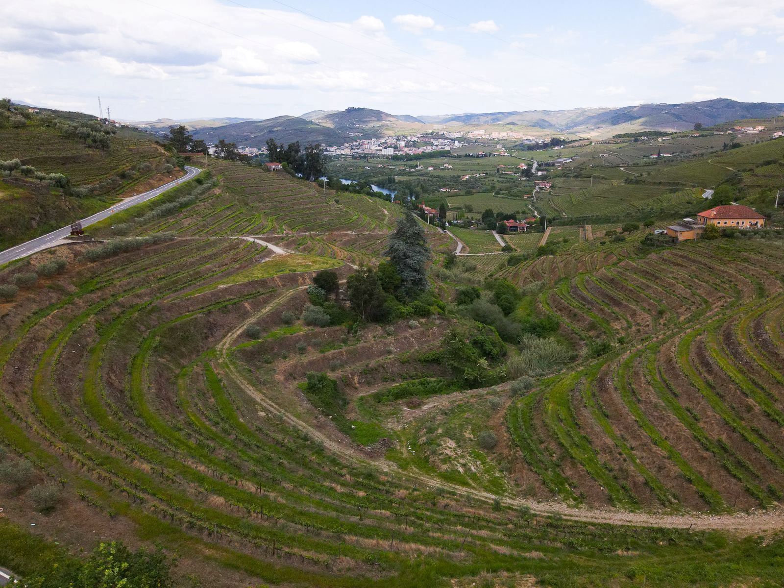 Terreno para projeto de turismo de habitação em pleno Douro