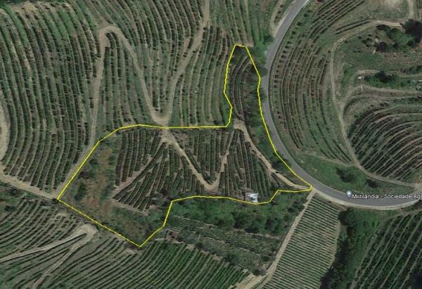 Terreno para projeto de turismo de habitação em pleno Douro