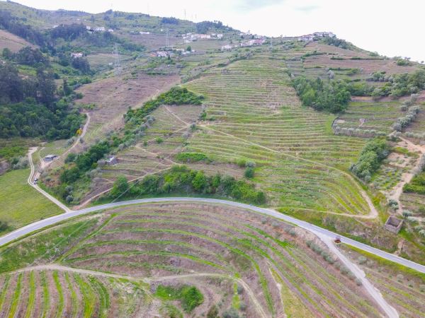 Terreno para projeto de turismo de habitação em pleno Douro