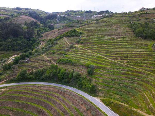 Terreno para projeto de turismo de habitação em pleno Douro