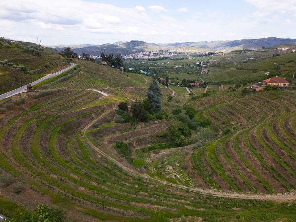 Terreno para projeto de turismo de habitação em pleno Douro