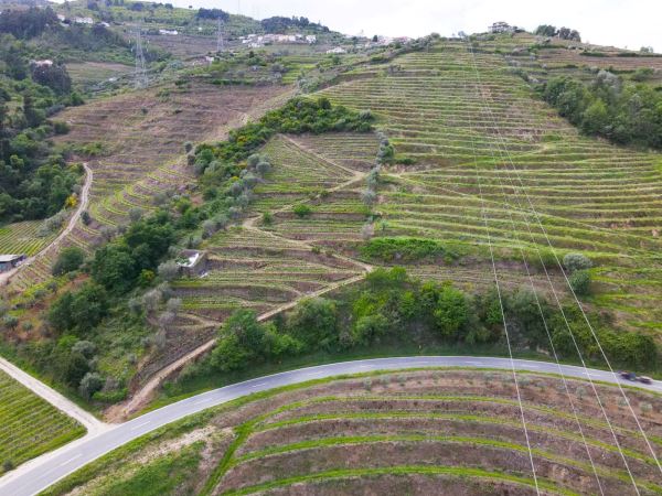Terreno para projeto de turismo de habitação em pleno Douro
