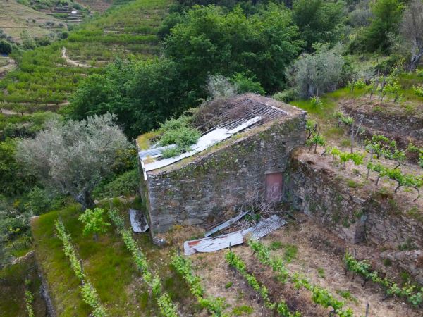 Terreno para projeto de turismo de habitação em pleno Douro