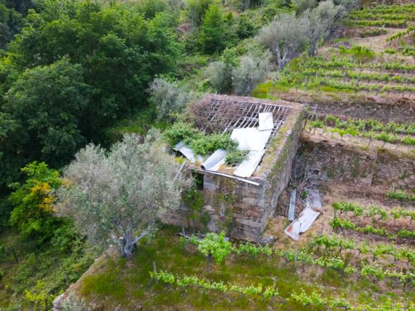 Terreno para projeto de turismo de habitação em pleno Douro
