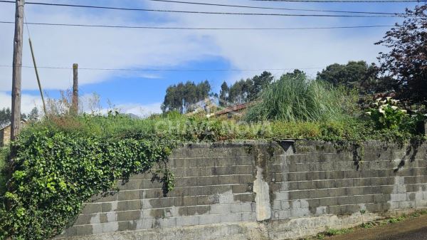 Terreno para Construção de Moradia Térrea | Arrifana 