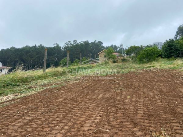 Terreno para Construção de Moradia Térrea | Arrifana 