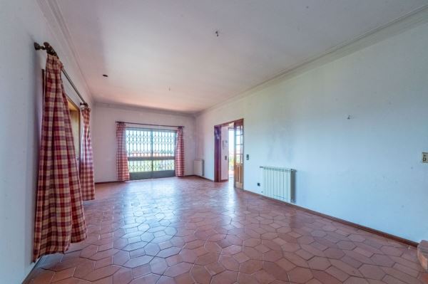 🌿 Refúgio Perfeito na Natureza – Quinta com Casa Aconchegante à Venda! 🏡