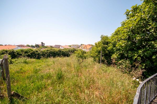 🌿 Refúgio Perfeito na Natureza – Quinta com Casa Aconchegante à Venda! 🏡