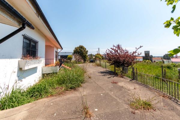 🌿 Refúgio Perfeito na Natureza – Quinta com Casa Aconchegante à Venda! 🏡