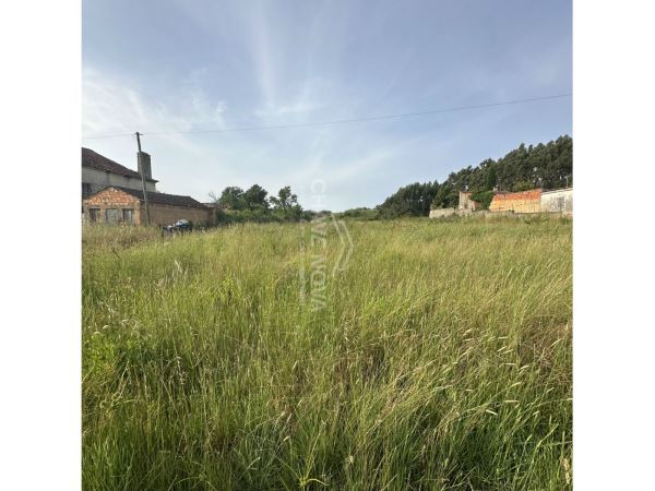 Land for sale in Anadia, Portugal — €60,000