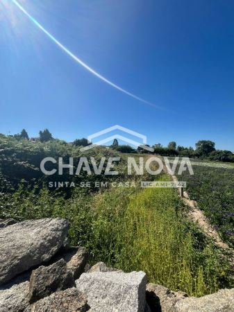 Terreno com 3 Frentes | 460m² | Madalena – Próximo à Praia