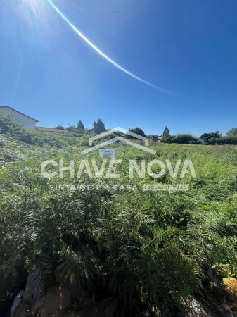 Terreno com 3 Frentes | 460m² | Madalena – Próximo à Praia