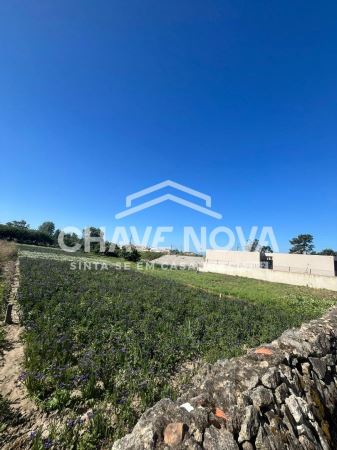 Terreno com 3 Frentes | 460m² | Madalena – Próximo à Praia