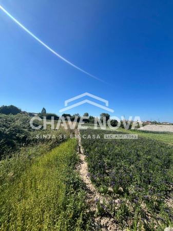 Terreno com 3 Frentes | 460m² | Madalena – Próximo à Praia