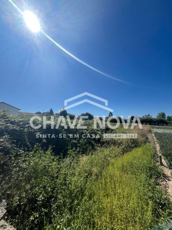 Terreno com 3 Frentes | 460m² | Madalena – Próximo à Praia