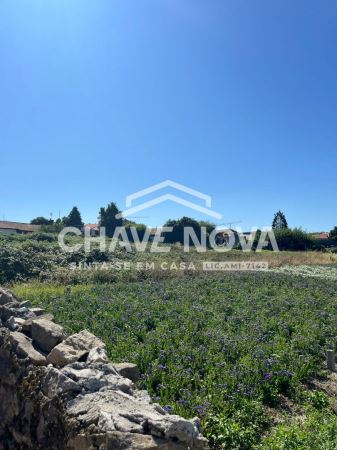 Terreno com 3 Frentes | 460m² | Madalena – Próximo à Praia
