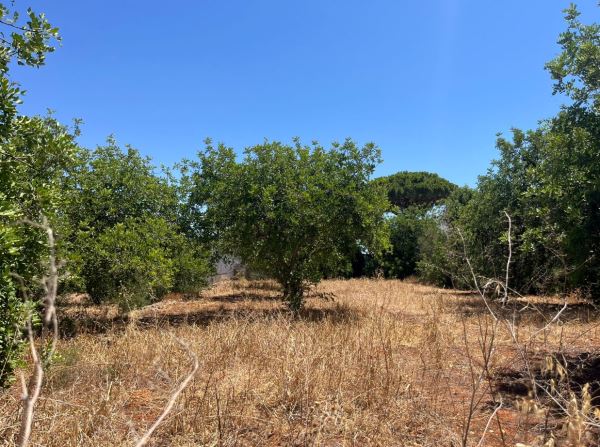 Land for sale in Loulé, Portugal — €450,000