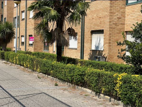 Apartamento T3 | Rés-do-chão | Rua Alves Redol – Pedrouços