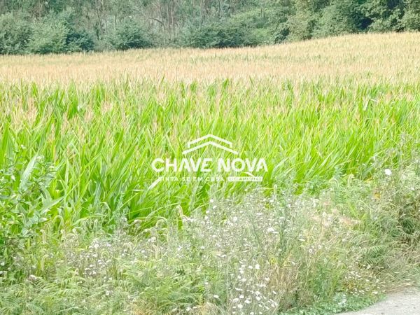 Land for sale in Santa Maria da Feira, Portugal — €1,100,000