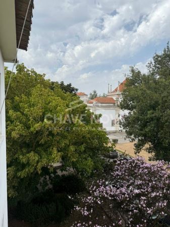 Apartamento T3 Remodelado em Aveiro | 199 000€
