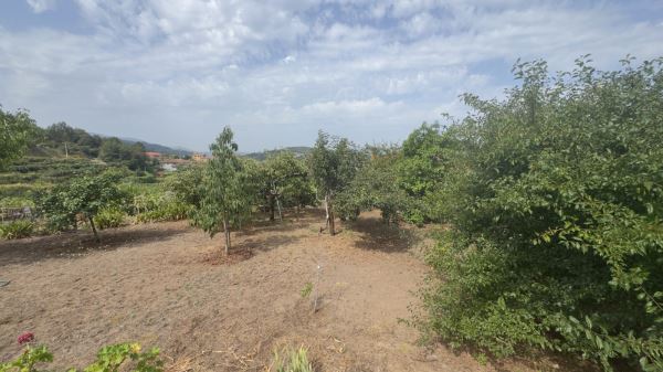 Moradia T4 em Roge - Vale de Cambra
