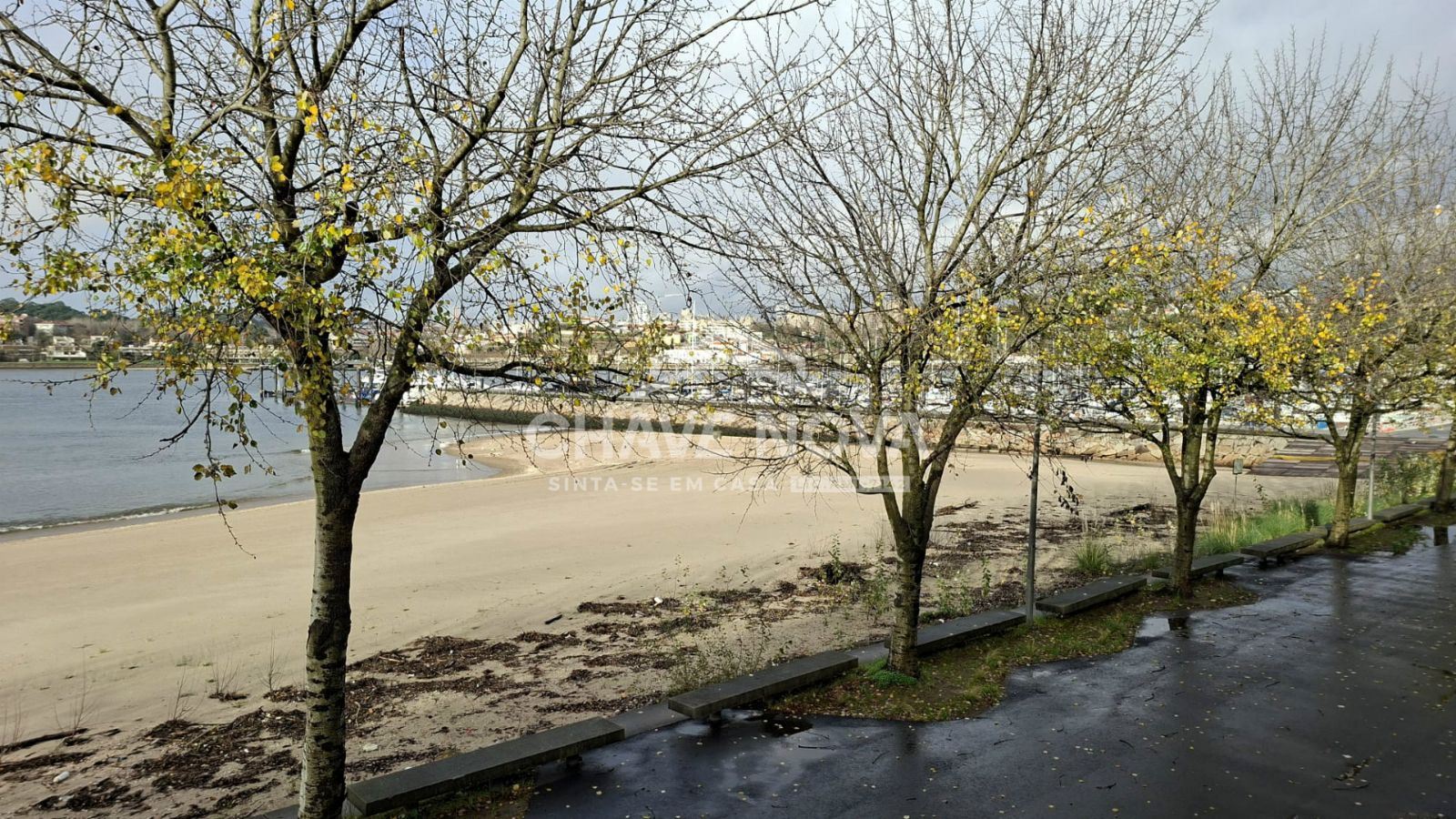 Apartamento T1 para Arrendamento em Canidelo