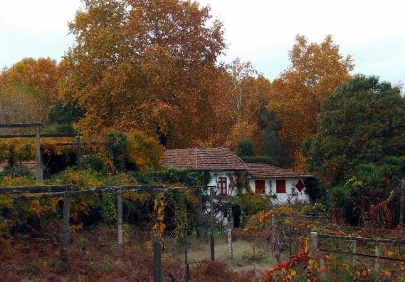 Quinta T2 para Venda em Penafiel