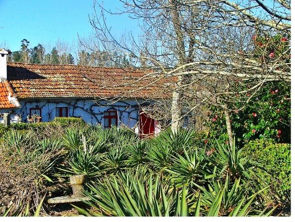 Quinta T2 para Venda em Penafiel