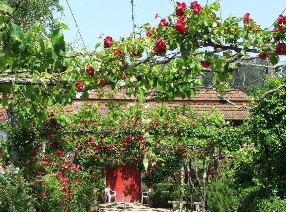 Quinta T2 para Venda em Penafiel